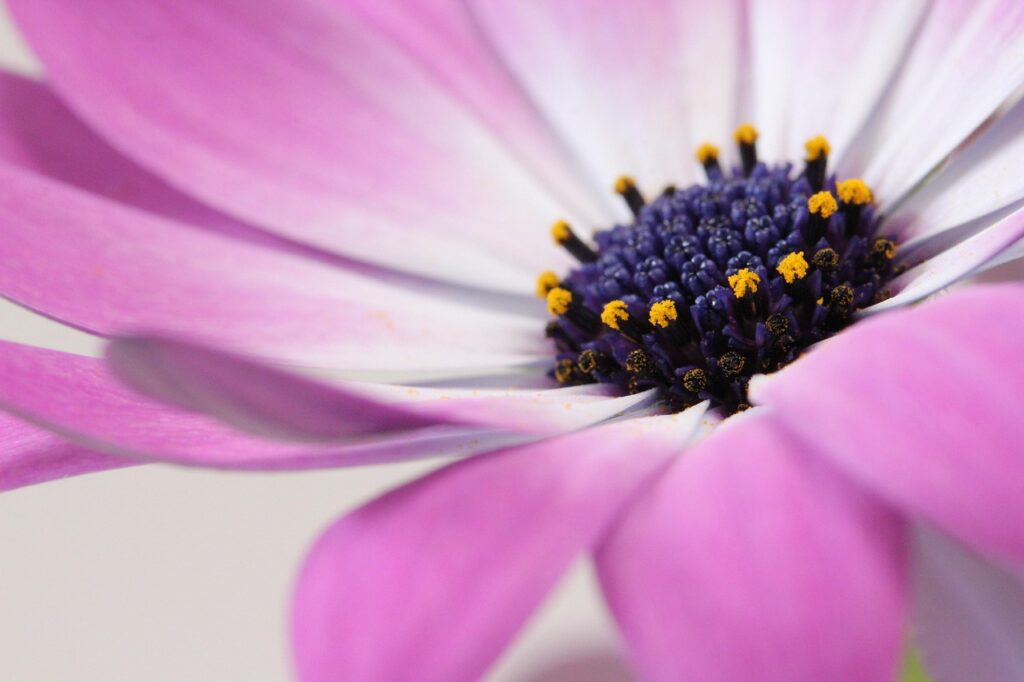 Mentoring für Frauen in Führung: Sichtbar & souverän führen