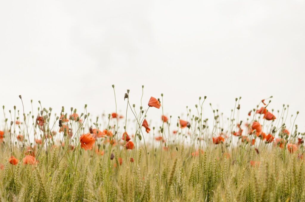 Sommercoaching gegen Stress in Führungspositionen