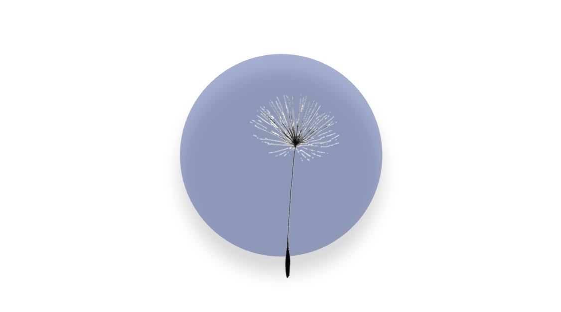 Ein blauer Kreis mit einem Pusteblumensamen als Symbol für Führungskräftecoaching für Frauen in Führung in Schwerin