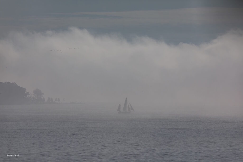 neblige See mit Segelboot, dass im Nebel verschwindet als Sinnbild für Weite und Übergang und Loslassen im Herbst durch Coaching für Frauen in Führung